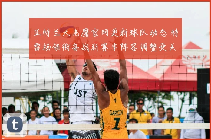 亚特兰大老鹰官网更新球队动态 特雷杨领衔备战新赛季阵容调整受关注
